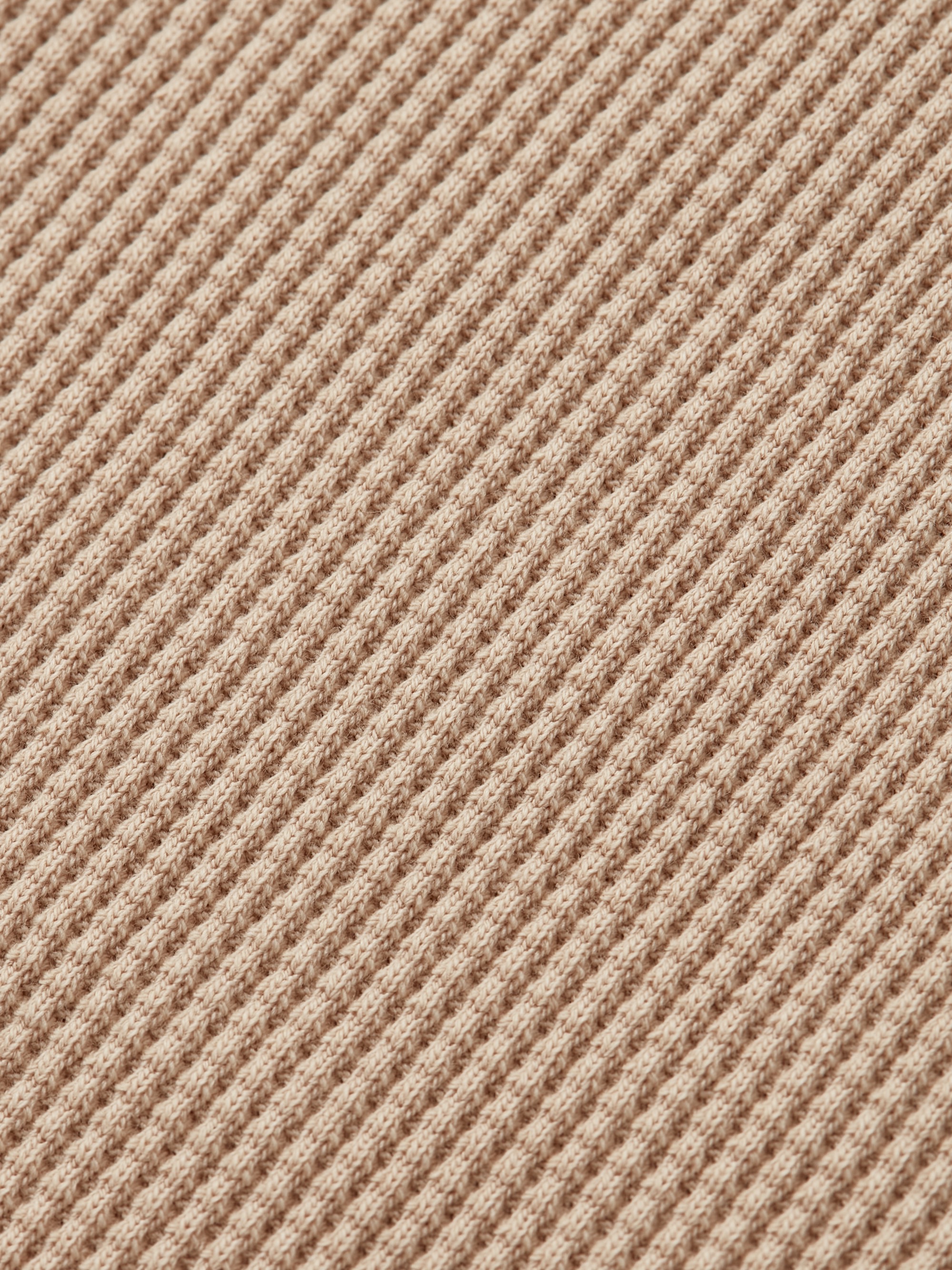 C44493